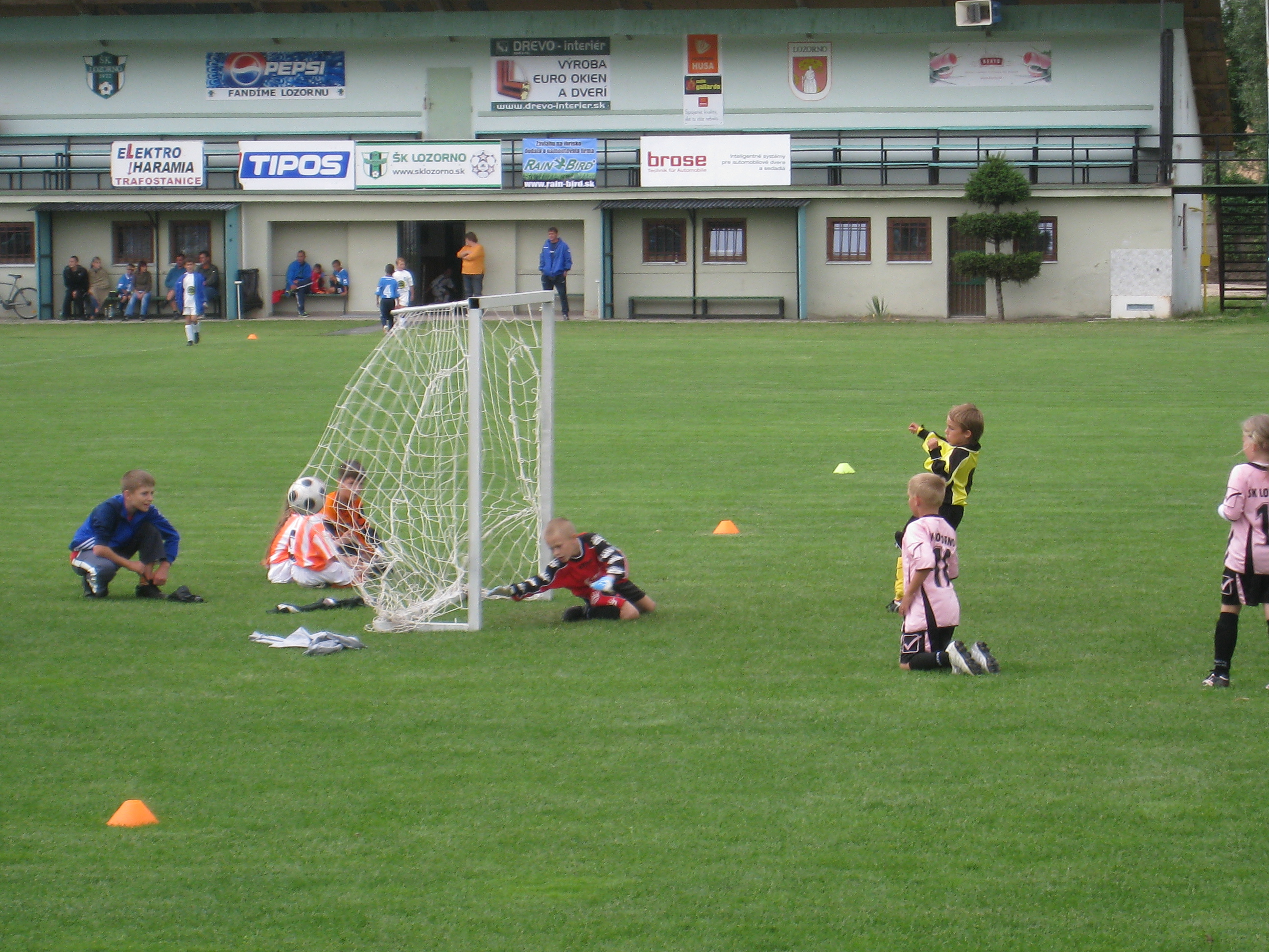 Mario_gol.JPG